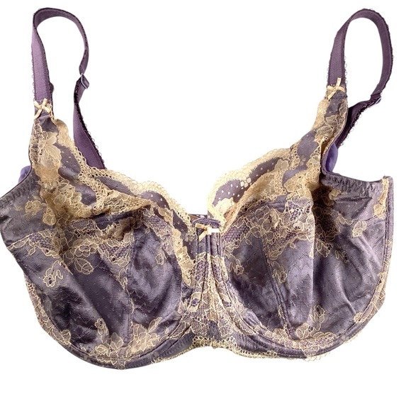 Panache Other - PANACHE Lace Underwire Bra Purple Cream 32L